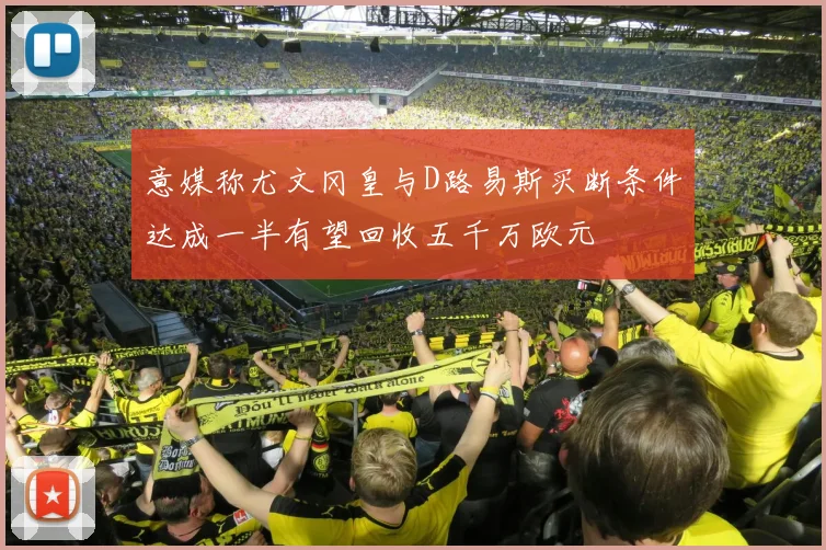 意媒称尤文冈皇与D路易斯买断条件达成一半有望回收五千万欧元