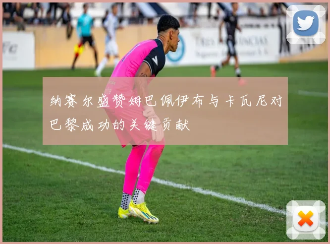 纳赛尔盛赞姆巴佩伊布与卡瓦尼对巴黎成功的关键贡献