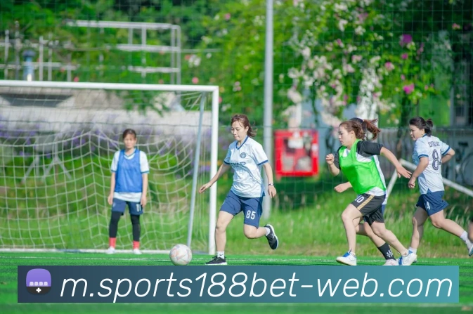 数据防护可视化